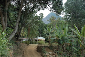 Altes Farmgebäude